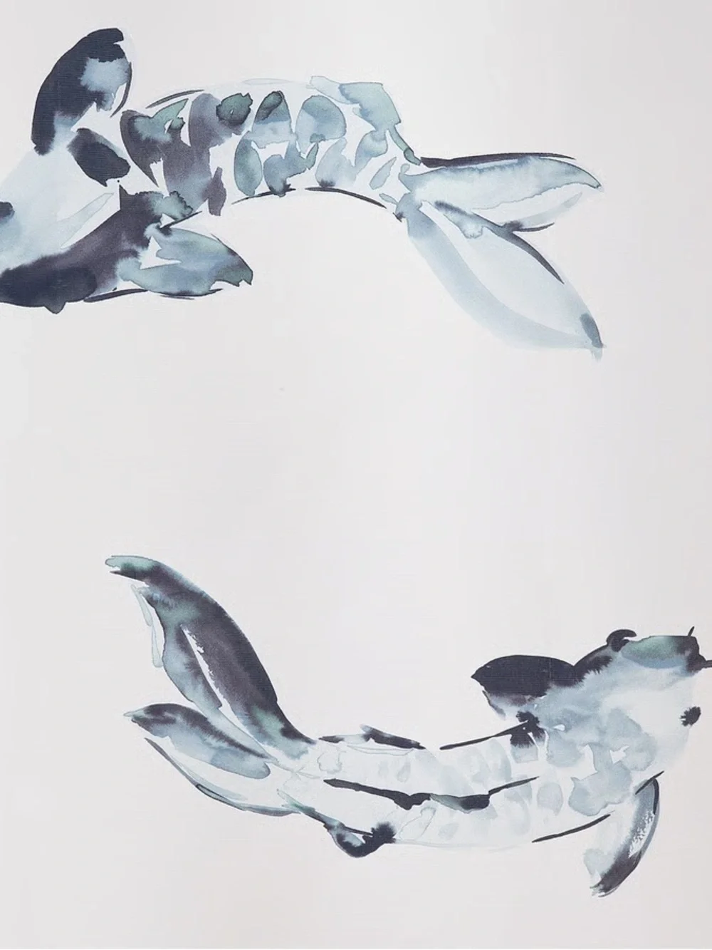 Koi Fish Blue White Shower Curtain